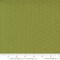Fabric Moda Pine Eyelet Basic Buon Natale by the Quarter Yard 20488-119